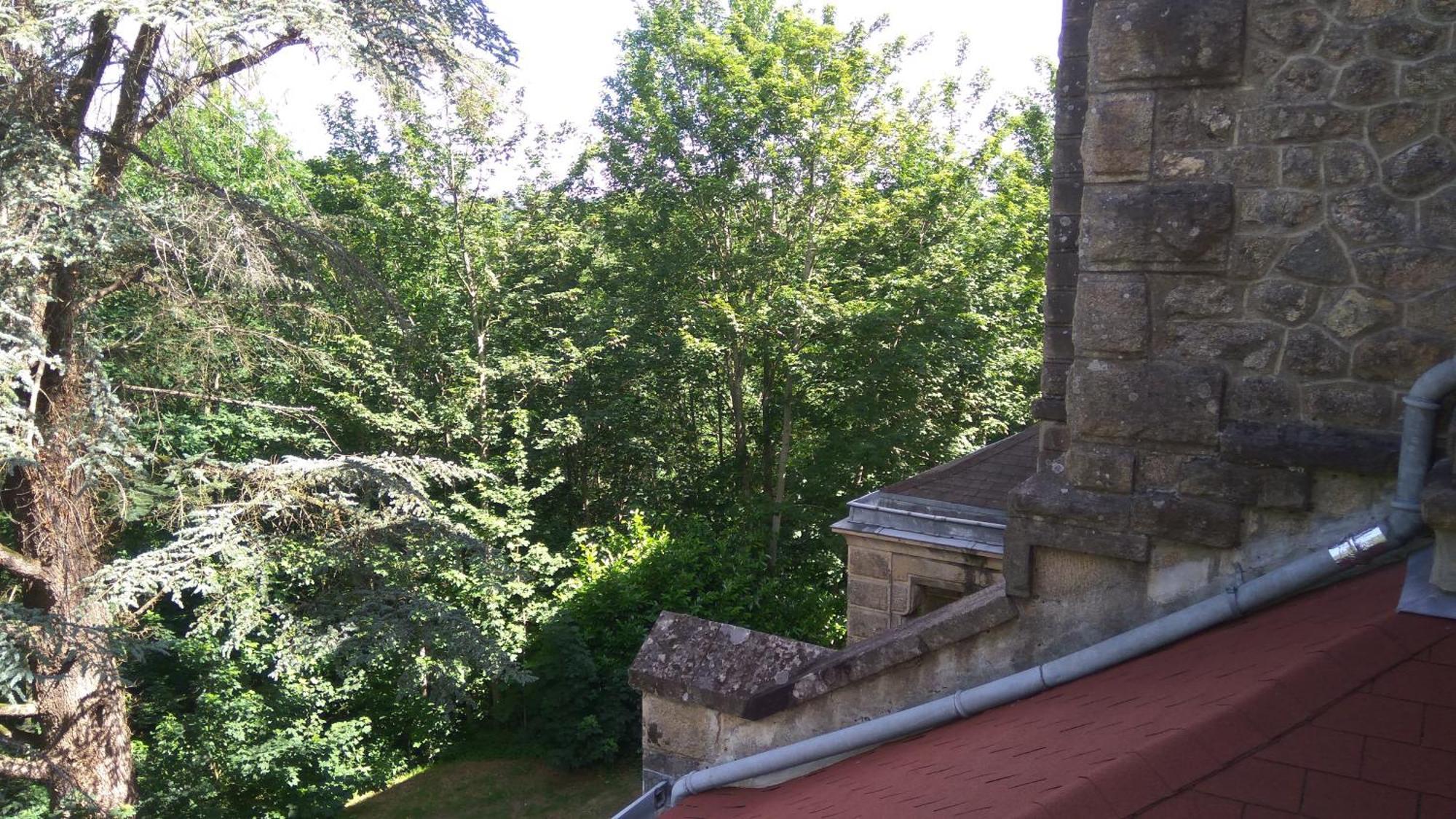 Chambres D'Hotes-Chateau Constant Bessines-sur-Gartempe Cameră foto